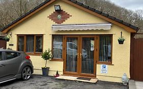 Plas Bach